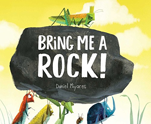 Bring Me a Rock! book cover