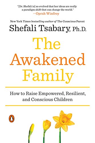 The Awakened Family: A Revolution in Parenting book cover