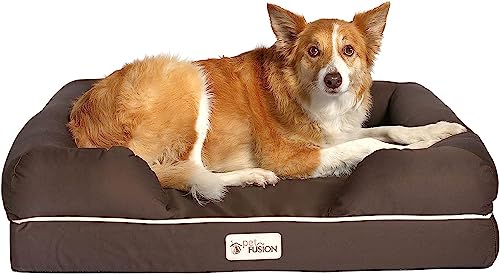 PetFusion Ultimate Orthopedic Dog Bed large size solid memory foam