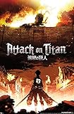 Trends International Attack on Titan - Fire Wall Poster, 22.375" x 34", Unframed Version