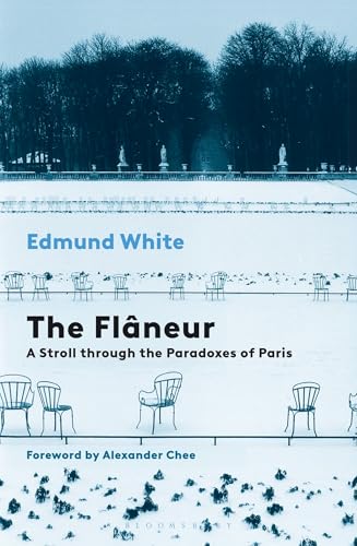 The Flaneur: A Stroll through the Paradoxes of Paris book cover