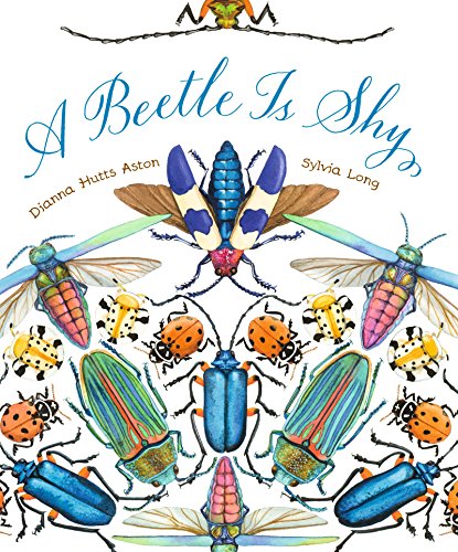 A Beetle Is Shy book cover