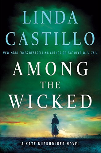 Among the Wicked (Kate Burkholder #8) book cover