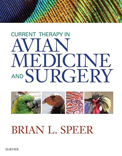 Current Therapy in Avian Medicine and Surgery book cover