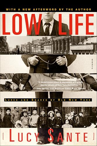 Low Life: Lures and Snares of Old New York book cover