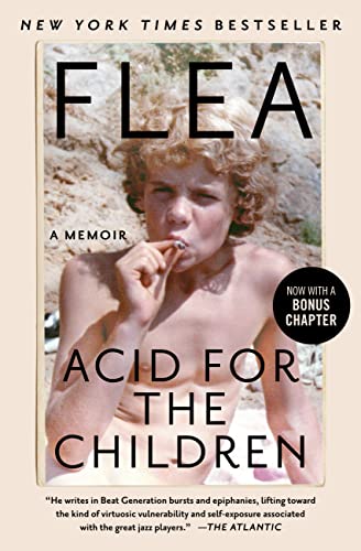 Acid For The Children book cover