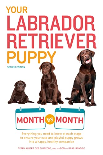 Your Labrador Retriever Puppy Month by Month, 2nd Edition: Everything You Need to Know at Each Stage of Development book cover