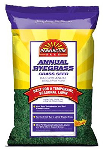 Pennington Annual Ryegrass (Overseed Warm-Season)