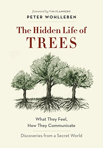 The Hidden Life of Trees: What They Feel, How They Communicate – Discoveries from a Secret World book cover