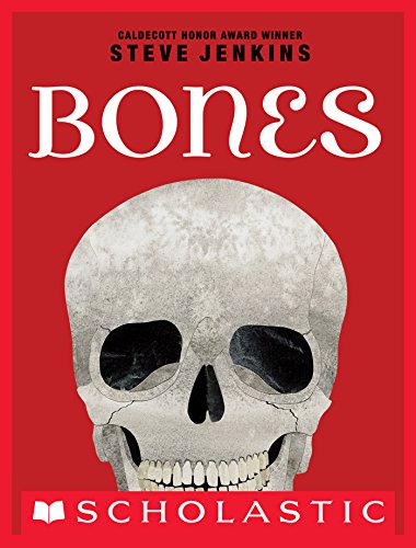 Bones: Skeletons and How They Work book cover