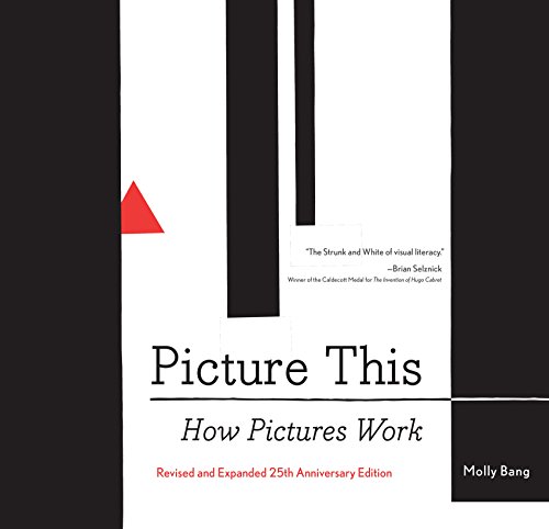 Picture This: How Pictures Work book cover