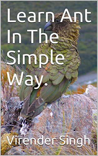 Learn Ant: In The Simple Way. book cover