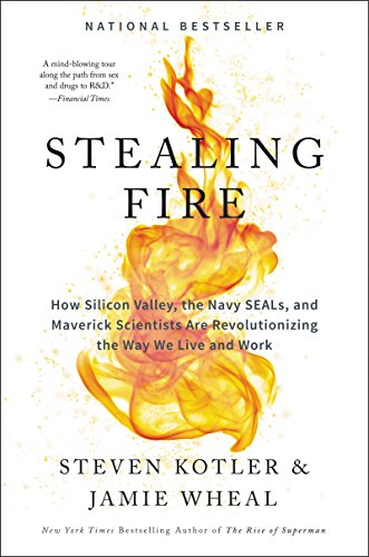 Stealing Fire: How Silicon Valley, the Navy SEALs, and Maverick Scientists Are Revolutionizing the Way We Live and Work book cover