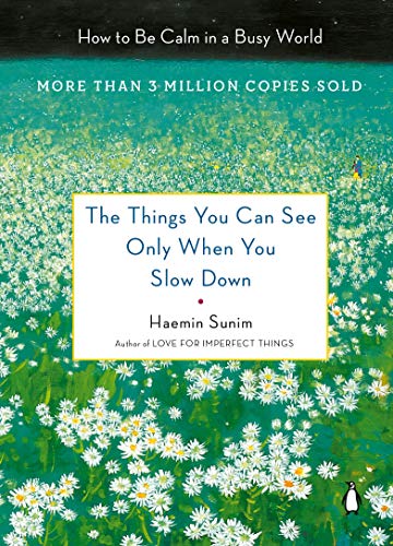 The Things You Can See Only When You Slow Down: Guidance on the Path to Mindfulness from a Spiritual Leader book cover