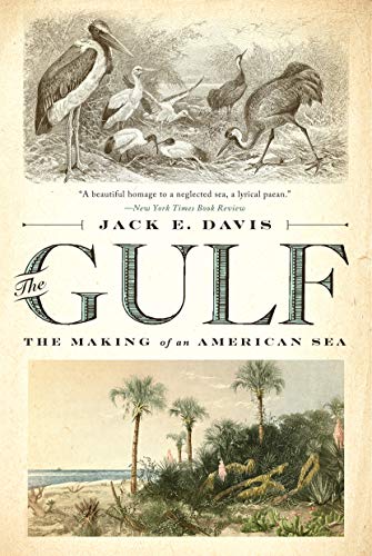The Gulf: The Making of An American Sea book cover