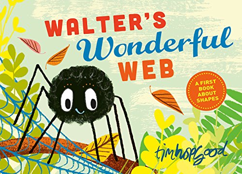 Walter's Wonderful Web book cover
