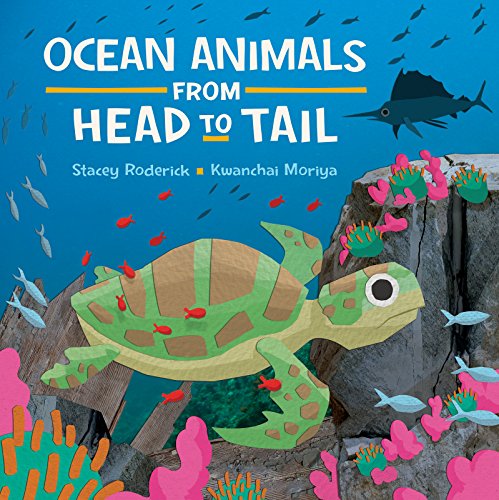 Ocean Animals from Head to Tail book cover