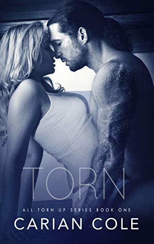 Torn (All Torn Up, #1) book cover