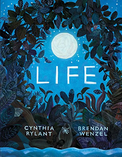 Life book cover