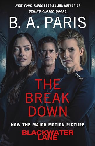 The Breakdown book cover