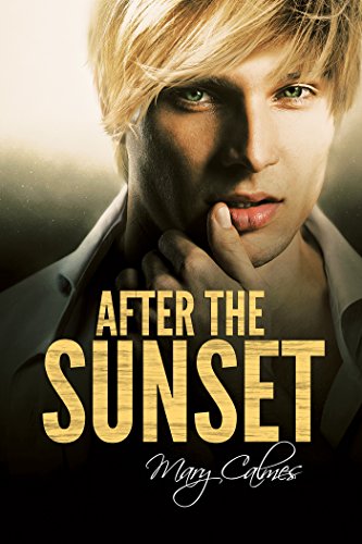 After the Sunset (Timing #2) book cover