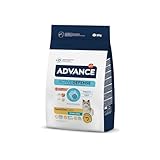Advance Sensitive Sterilized Salmón mejores piensos para gatos calidad precio