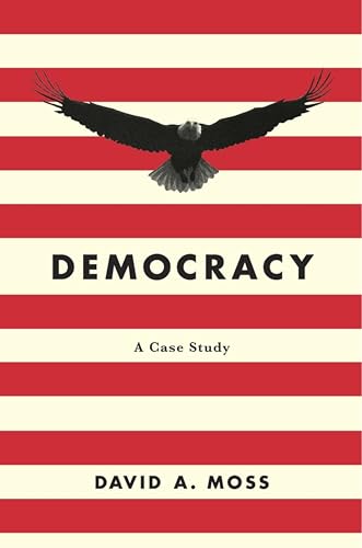 Democracy: A Case Study book cover