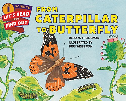 From Caterpillar to Butterfly book cover