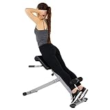Sunny Health Fitness 45 Degree Hyperextension Roman Chair Wi
