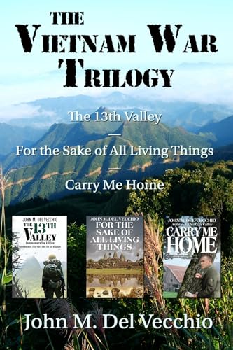 The 13th Valley book cover