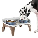 Amazon Pet Product B06XNP1TL5 — Amazon product photo