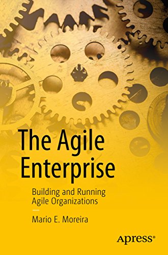 The Agile Enterprise: Building and Running Agile Organizations book cover