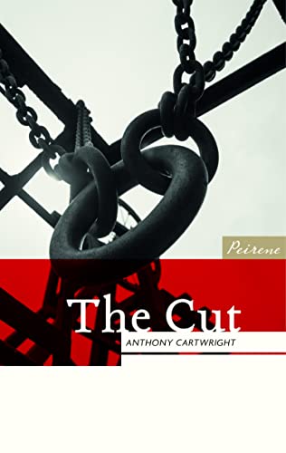 The Cut book cover