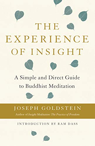 The Experience of Insight: A Simple & Direct Guide to Buddhist Meditation (Shambhala Dragon Editions) book cover