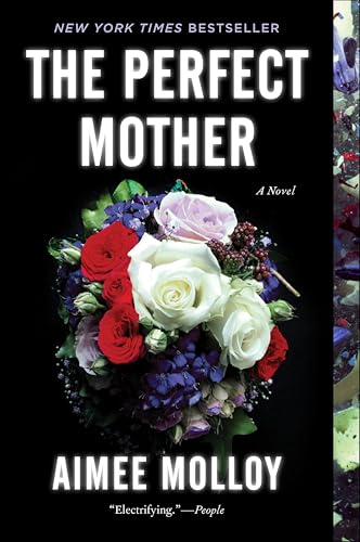 The Perfect Mother book cover