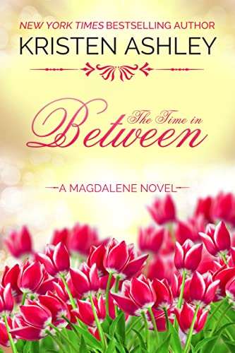 The Time in Between book cover