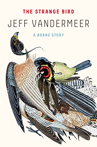 The Strange Bird: A Borne Story book cover