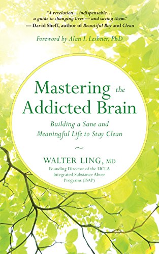 Mastering the Addicted Brain: Building a Sane and Meaningful Life to Stay Clean book cover