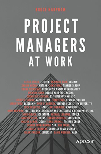 Project Managers at Work book cover