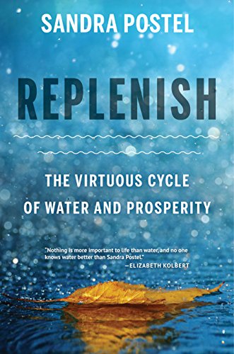 Replenish: The Virtuous Cycle of Water and Prosperity book cover
