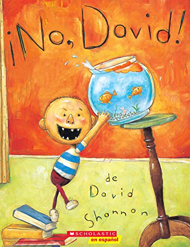 No, David! book cover