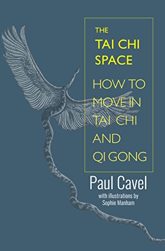 The Tai Chi Space: How to Move in Tai Chi and Qi Gong book cover
