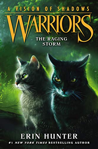 The Raging Storm (Warriors: A Vision of Shadows, #6) book cover