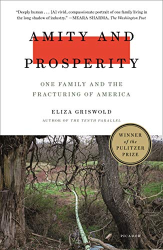 Amity and Prosperity: One Family and the Fracturing of America book cover