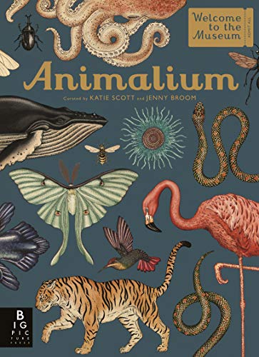 Animalium book cover