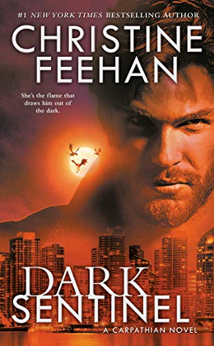Dark Sentinel book cover