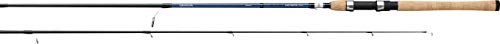 Daiwa Aird Coastal Inshore ACIN701MXS
