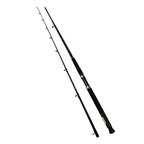 Daiwa Wilderness Trolling WDDR962MHR