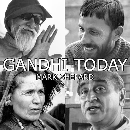 Gandhi Today: A Report on India's Gandhi Movement and Its Experiments in Nonviolence and Small Scale Alternatives book cover