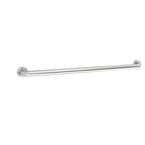Amazon Basics Grab Bar